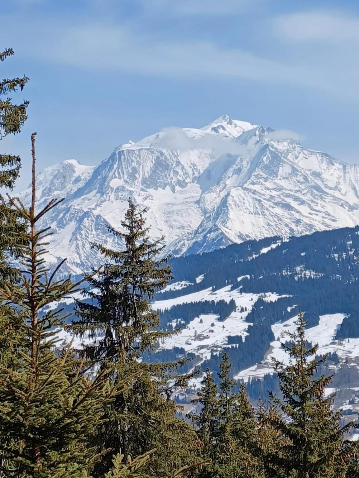 Appartement Tres Agreable Dans Belle Residence, Classe 3 Etoiles Par Le Comite Departementale Du Tourisme En Haute Garonne Bagnères-de-Luchon Kültér fotó